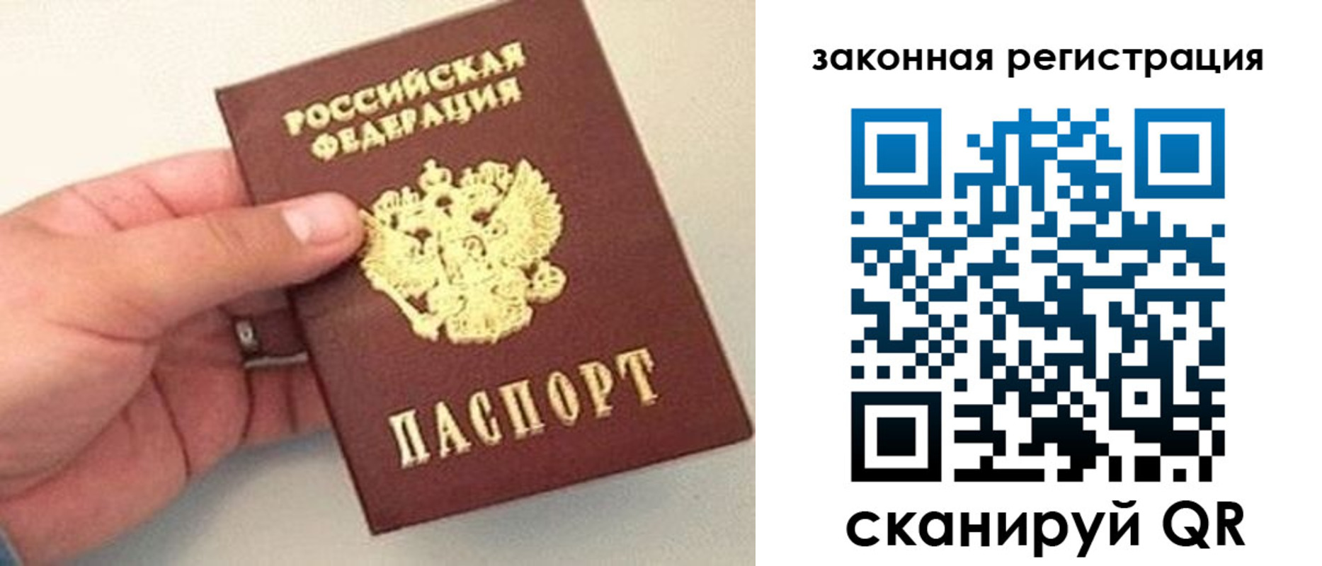 прописка для школы в Мурино